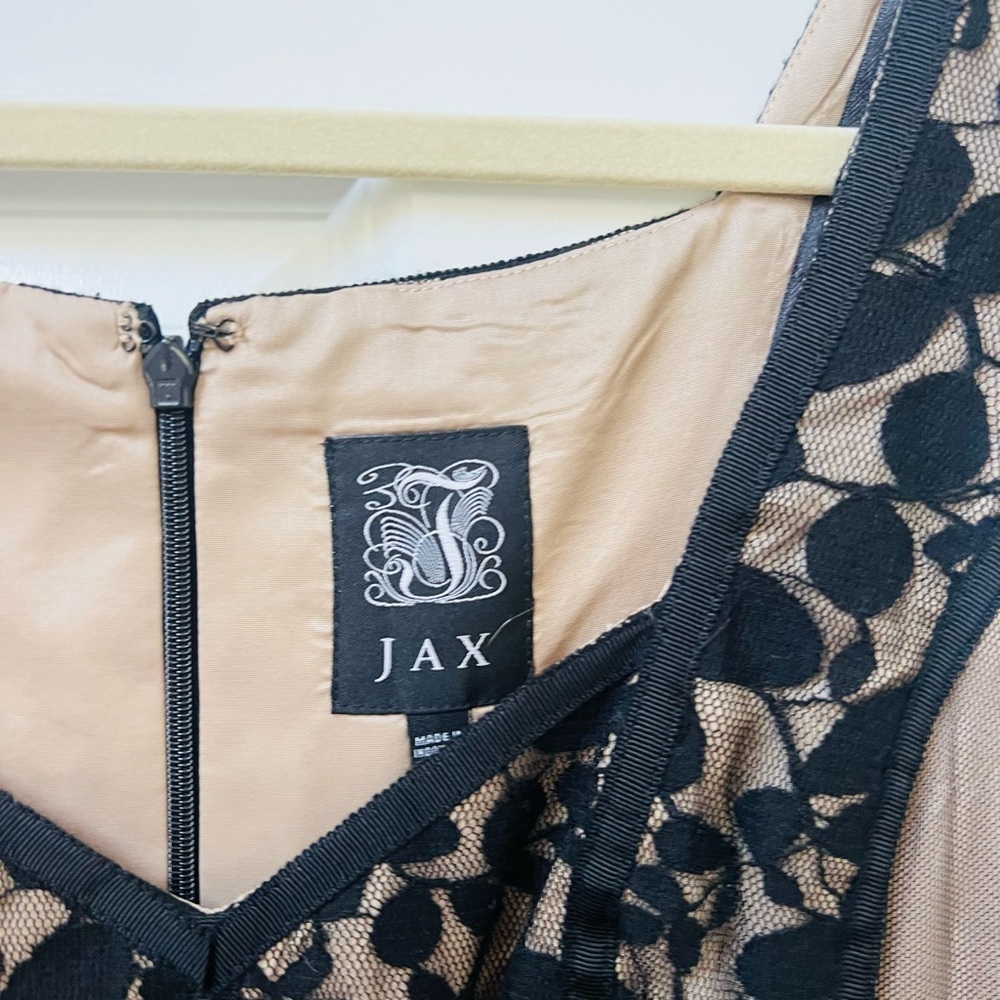 COPY - Jax size 8 stunning Black and Tan Lace Dress - Picture 3 of 7